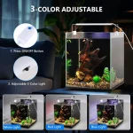 Small Rimless Fish Tank Starter Kit with Filter and LED 4 | PricZone