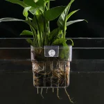 Transparent Aquarium Plant Basket Hanging Planter 1 | PricZone Transparent Aquarium Plant Basket Hanging Planter 1 | PricZone