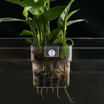 Transparent Aquarium Plant Basket Hanging Planter 1 | PricZone