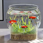 Clear Round Fish Bowl Aquarium Tank Vase 2 | PricZone