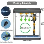 Glass Fish Tank Starter Kit 435 Gallon Betta Desktop Aquarium Mini Bowl Shrimp with LED Pump Oxygen Pump Air Intake Water 3 | PricZone