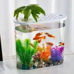 Clear Plastic Fish Bowl Planter for Home Decor 4 | PricZone Clear Plastic Fish Bowl Planter for Home Decor 4 | PricZone