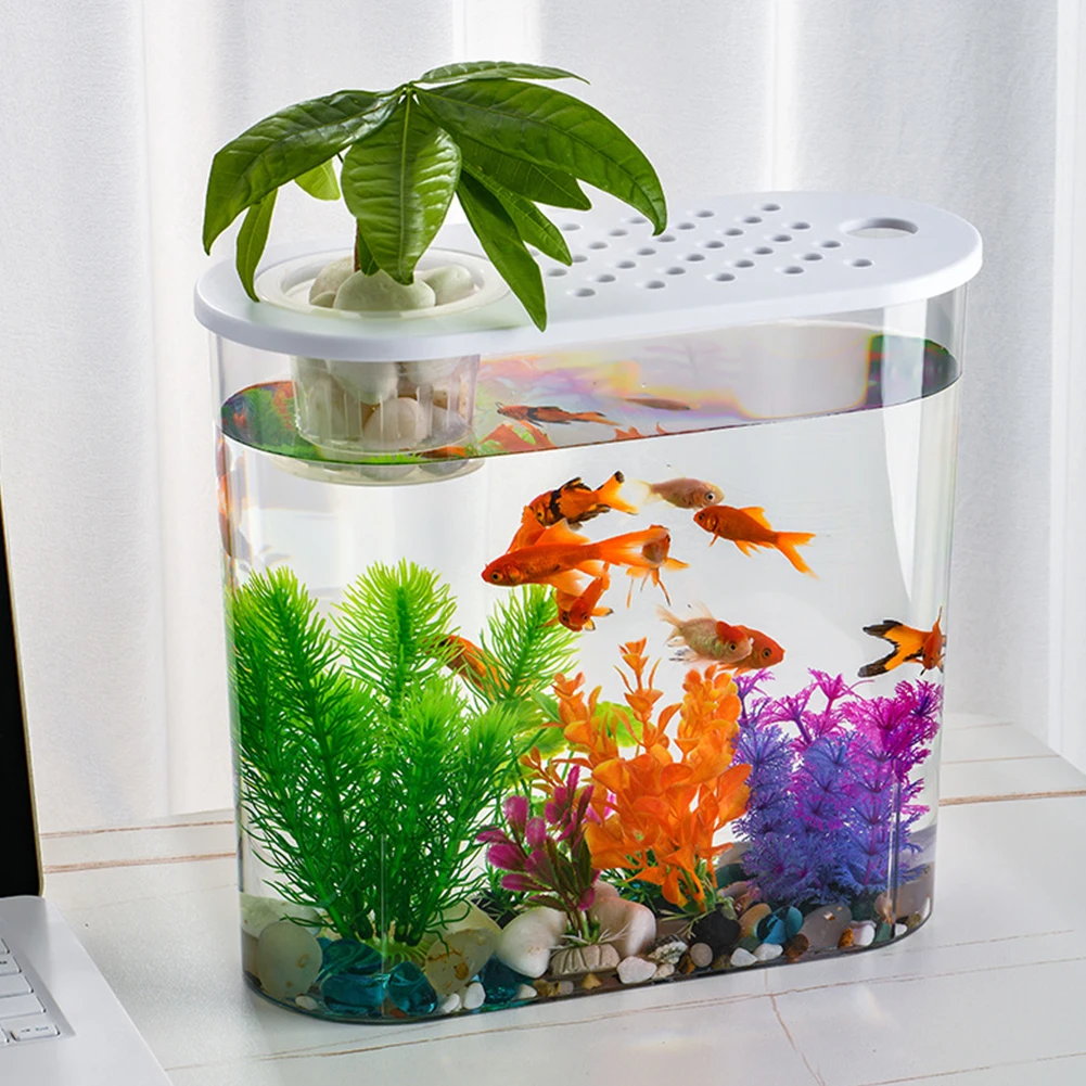 Clear Plastic Fish Bowl Planter for Home Decor 4 | PricZone Clear Plastic Fish Bowl Planter for Home Decor 4 | PricZone