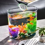 Clear Plastic Fish Bowl Planter for Home Decor 1 | PricZone Clear Plastic Fish Bowl Planter for Home Decor 1 | PricZone