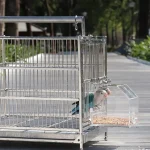 No Mess Acrylic Parrot Feeder for Small Birds 4 | PricZone