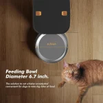 Automatic Dog Feeder with Timer Control 5 | PricZone