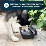 Automatic 1 Gallon Outdoor Dog Water Dispenser 2 | PricZone