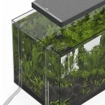 Mini Glass Lily Pipe Set for Nano Aquariums 6 | PricZone