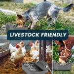 Automatic 1 Gallon Outdoor Dog Water Dispenser 5 | PricZone