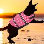 Reflective Ripstop Dog Life Jacket with Handle 2 | PricZone