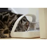 Selective Microchip Automatic Pet Feeder 3 | PricZone