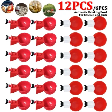 Automatic Poultry Water Cups 6 12pcs Set 1 | PricZone
