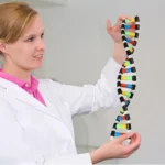 DNA Double Helix Model Kit for Kids 1 | PricZone
