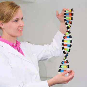 DNA Double Helix Model Kit for Kids 1 | PricZone