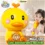 Cute Duck Voice Changing Music Toy
