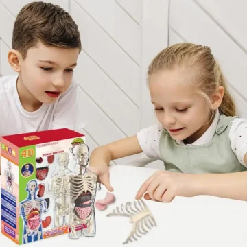 Transparent Kids Human Anatomy Science Kit 2 | PricZone