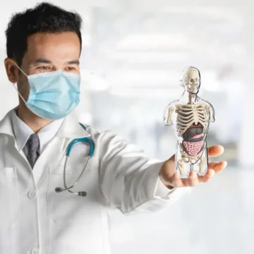 Transparent Kids Human Anatomy Science Kit 1 | PricZone