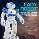 Remote Control Robot Toy for Kids 2 | PricZone