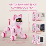 Interactive RC Robot Cat Toy for Kids 6 | PricZone