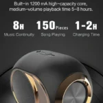 Portable Wireless Bluetooth TWS Speaker 5 | PricZone