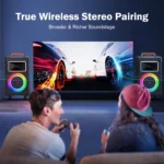 Karaoke Machine with 2 Wireless Microphones 3 | PricZone