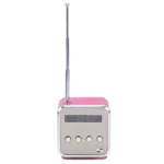 Portable Music Player FM Radio Speaker 1 | PricZone