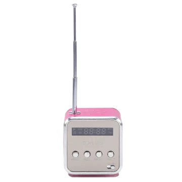 Portable Music Player FM Radio Speaker 1 | PricZone