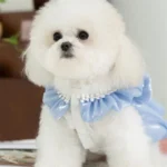 Dog Tutu Dress with Bowknot Puppy Clothes 4 | PricZone