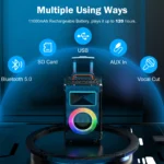 Karaoke Machine with 2 Wireless Microphones 6 | PricZone