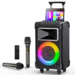 Karaoke Machine with 2 Wireless Microphones 1 | PricZone