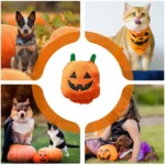 Halloween Dog Costumes Comical Outfits 3 | PricZone