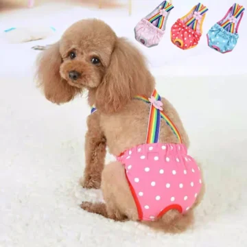 Pet Dog Diaper Shorts for Female Dogs 1 | PricZone