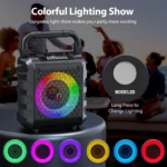 Portable Wireless Karaoke Speaker with Mic 2 | PricZone