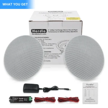 Herdio 4 inch Flush Mount Bluetooth Speaker 1 | PricZone