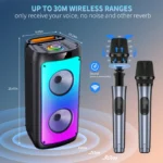Wireless Bluetooth Karaoke Machine with Mic 3 | PricZone