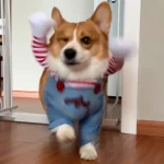 Funny Dog Chucky Costume Pet Halloween Outfit 4 | PricZone