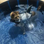 Shark Dog Life Jacket with Safety Handle 5 | PricZone