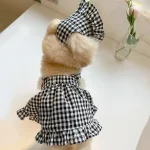Dog Plaid Skirt with Hat Summer Outfit 4 | PricZone