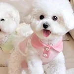 Summer Dog Polo Shirt Pet Clothes 4 | PricZone