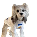 Summer Thin Pet Clothes for Small Dogs 4 | PricZone