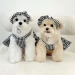 Dog Plaid Skirt with Hat Summer Outfit 1 | PricZone