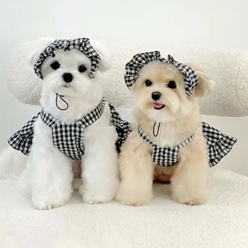 Dog Plaid Skirt with Hat Summer Outfit 1 | PricZone