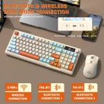 ZIYOU LANG T96 Wireless Gaming Keyboard Mouse Combo 2 | PricZone