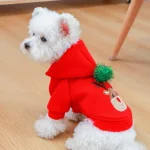 Warm Christmas Dog Skirt Dress 2 | PricZone