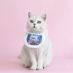 Lion Mane Pet Costume with Tail Set 1 | PricZone