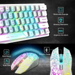T61 Wireless Gaming Keyboard and Mouse Combo Ergonomic 61 Key Rainbow LED Backlight Rechargeable 4000mAh Battery Mouse Pad 5 | PricZone