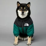 Dog Winter Down Jacket for Small to Medium Dogs 2 | PricZone