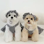 Summer Plaid Pet Dress for Small Dogs 4 | PricZone
