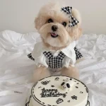 Summer Plaid Pet Dress for Small Dogs 3 | PricZone