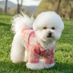 Summer Pet Shirt British Style Plaid Dog Vest Clothes For Small Dogs Chihuahua Cotton Puppy Shirts 3 | PricZone
